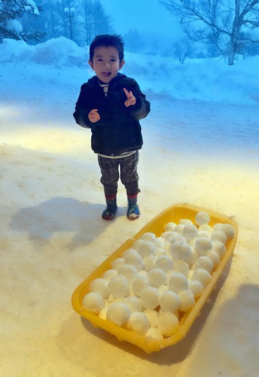 Snowball Chalet At Madarao Mountain Hotel Iiyama Ngoại thất bức ảnh